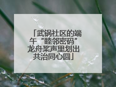 武锅社区的端午“睦邻密码”龙舟桨声里划出共治同心圆