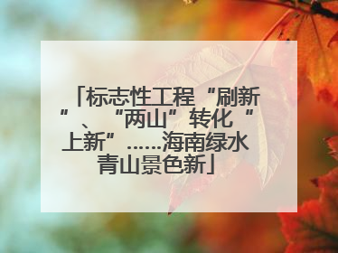 标志性工程“刷新”、“两山”转化“上新”……海南绿水青山景色新