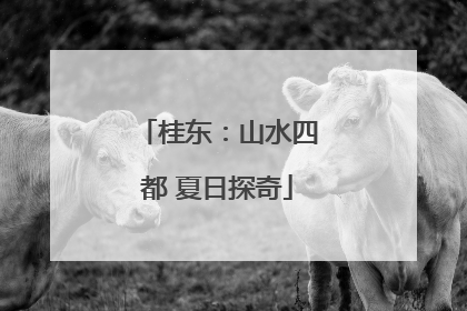 桂东：山水四都 夏日探奇