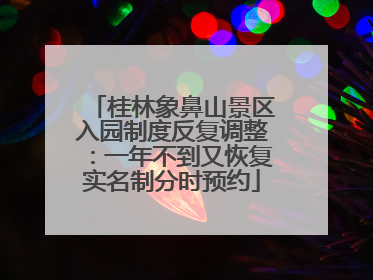 桂林象鼻山景区入园制度反复调整：一年不到又恢复实名制分时预约