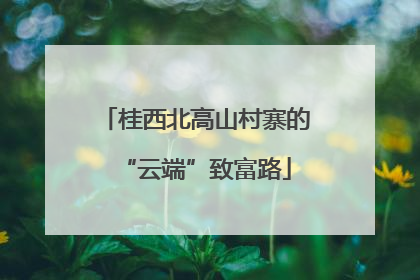 桂西北高山村寨的“云端”致富路