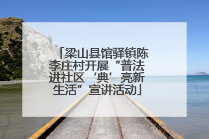 梁山县馆驿镇陈李庄村开展“普法进社区‘典’亮新生活”宣讲活动