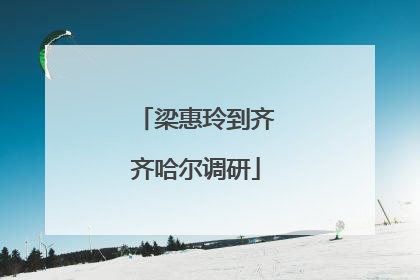 梁惠玲到齐齐哈尔调研