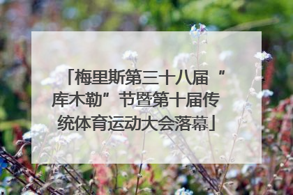 梅里斯第三十八届“库木勒”节暨第十届传统体育运动大会落幕