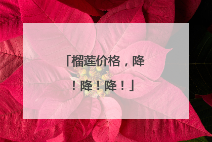 榴莲价格，降！降！降！
