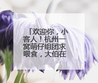 欢迎你，小客人！杭州一窝萌仔组团求喂食，大伯在窗台拍下温馨一幕