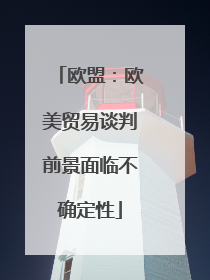 欧盟：欧美贸易谈判前景面临不确定性