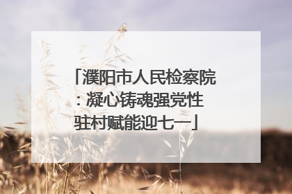 濮阳市人民检察院：凝心铸魂强党性 驻村赋能迎七一