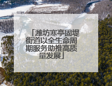 潍坊寒亭固堤街道以全生命周期服务助推高质量发展