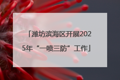 潍坊滨海区开展2025年“一喷三防”工作