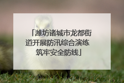 潍坊诸城市龙都街道开展防汛综合演练 筑牢安全防线