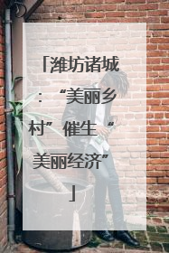 潍坊诸城：“美丽乡村”催生“美丽经济”