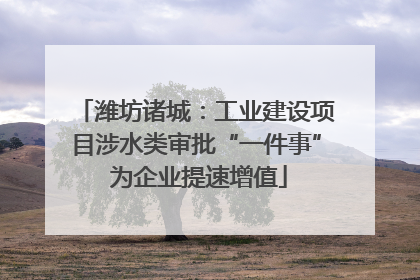 潍坊诸城：工业建设项目涉水类审批“一件事” 为企业提速增值