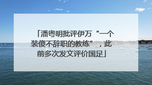 潘粤明批评伊万“一个装傻不辞职的教练”，此前多次发文评价国足