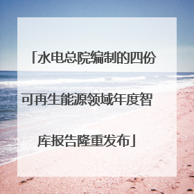 水电总院编制的四份可再生能源领域年度智库报告隆重发布