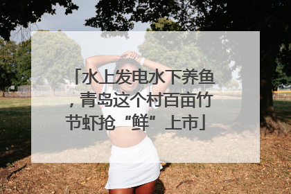 水上发电水下养鱼，青岛这个村百亩竹节虾抢“鲜”上市