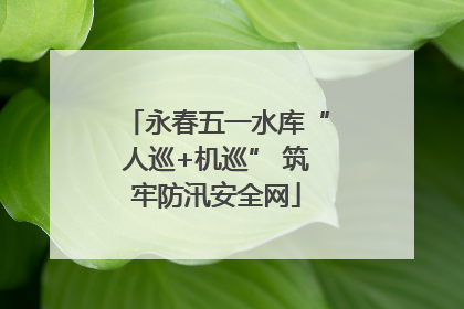 永春五一水库“人巡+机巡” 筑牢防汛安全网