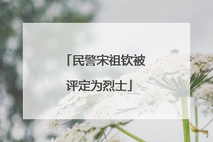 民警宋祖钦被评定为烈士