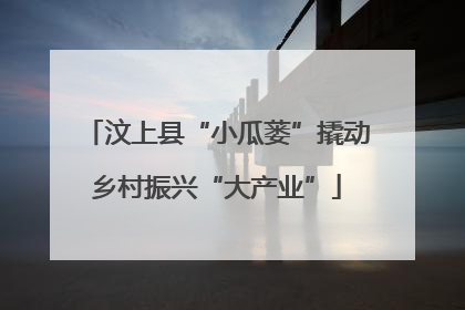 汶上县“小瓜蒌”撬动乡村振兴“大产业”