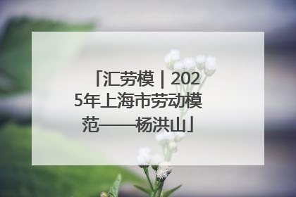 汇劳模｜2025年上海市劳动模范——杨洪山