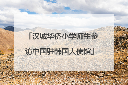 汉城华侨小学师生参访中国驻韩国大使馆