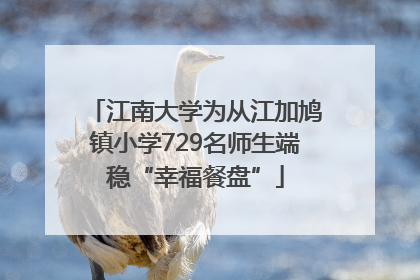 江南大学为从江加鸠镇小学729名师生端稳“幸福餐盘”