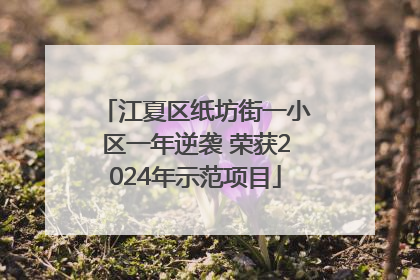 江夏区纸坊街一小区一年逆袭 荣获2024年示范项目