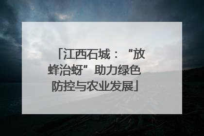 江西石城：“放蜂治蚜”助力绿色防控与农业发展