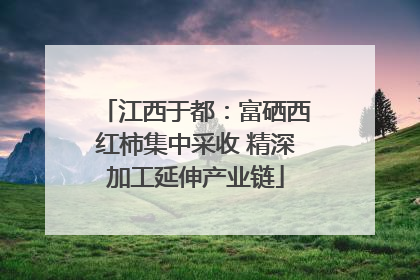江西于都：富硒西红柿集中采收 精深加工延伸产业链