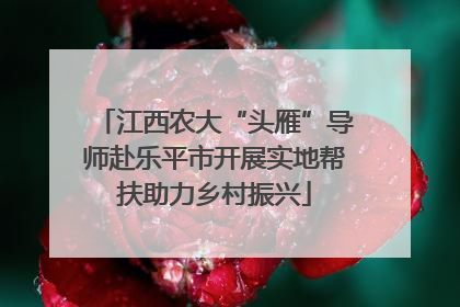 江西农大“头雁”导师赴乐平市开展实地帮扶助力乡村振兴