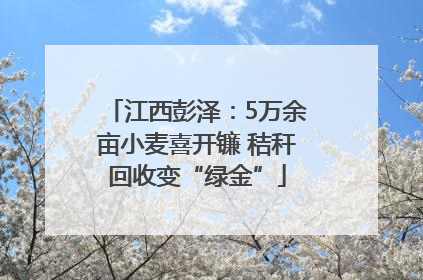 江西彭泽：5万余亩小麦喜开镰 秸秆回收变“绿金”