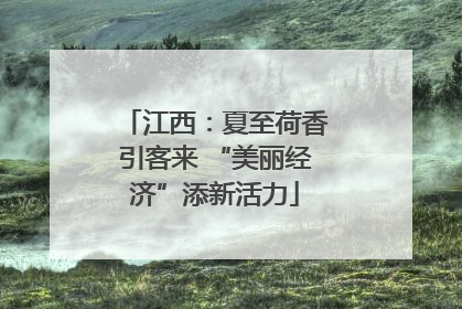 江西：夏至荷香引客来 “美丽经济”添新活力