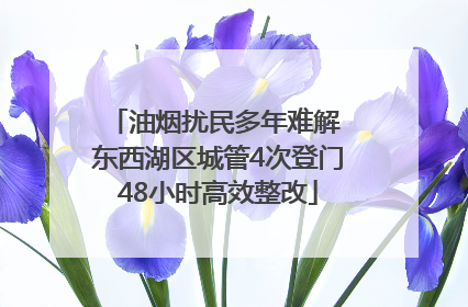 油烟扰民多年难解 东西湖区城管4次登门48小时高效整改