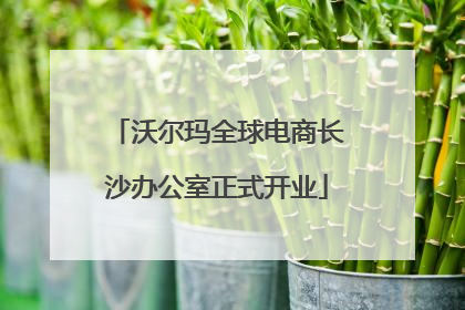 沃尔玛全球电商长沙办公室正式开业