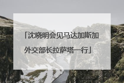 沈晓明会见马达加斯加外交部长拉萨塔一行