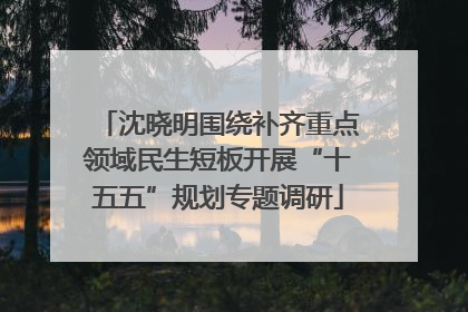 沈晓明围绕补齐重点领域民生短板开展“十五五”规划专题调研