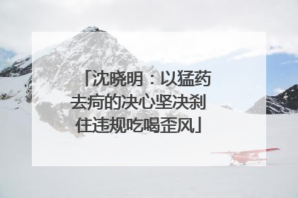 沈晓明：以猛药去疴的决心坚决刹住违规吃喝歪风