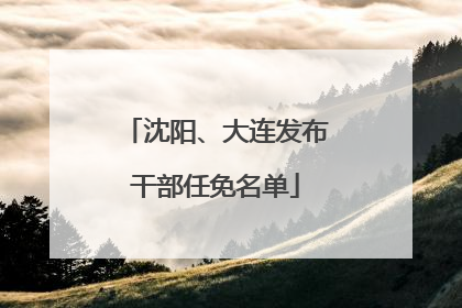 沈阳、大连发布干部任免名单