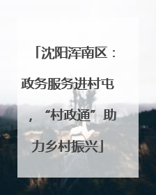 沈阳浑南区：政务服务进村屯，“村政通”助力乡村振兴