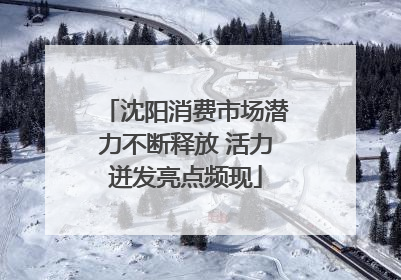 沈阳消费市场潜力不断释放 活力迸发亮点频现
