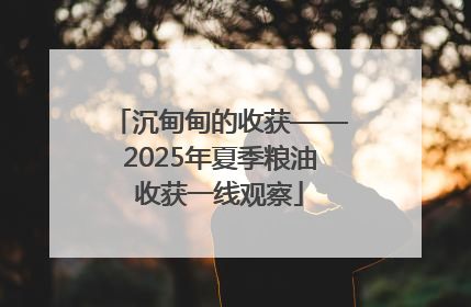 沉甸甸的收获——2025年夏季粮油收获一线观察