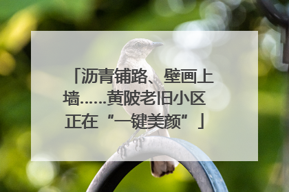 沥青铺路、壁画上墙……黄陂老旧小区正在“一键美颜”