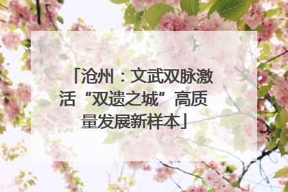沧州：文武双脉激活“双遗之城”高质量发展新样本