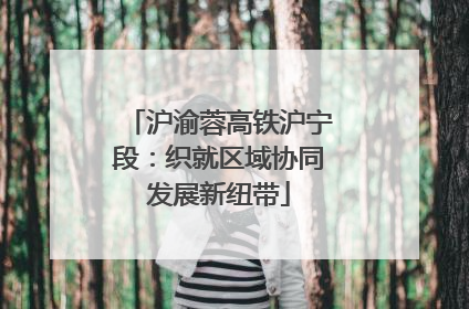 沪渝蓉高铁沪宁段：织就区域协同发展新纽带