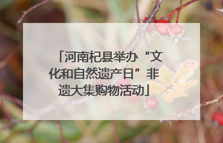 河南杞县举办“文化和自然遗产日”非遗大集购物活动
