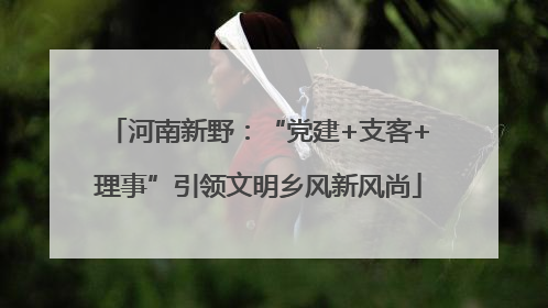 河南新野：“党建+支客+理事”引领文明乡风新风尚