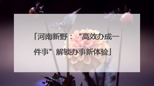 河南新野：“高效办成一件事”解锁办事新体验