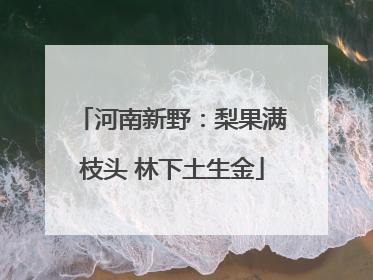 河南新野：梨果满枝头 林下土生金