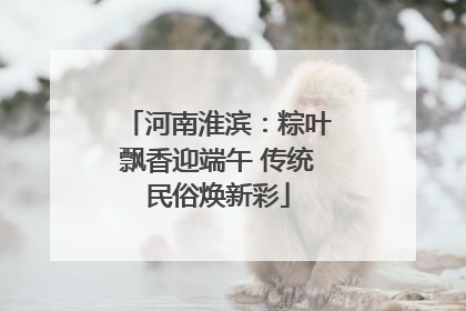 河南淮滨：粽叶飘香迎端午 传统民俗焕新彩