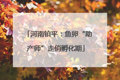 河南镇平：鱼卵“助产师”走俏孵化期